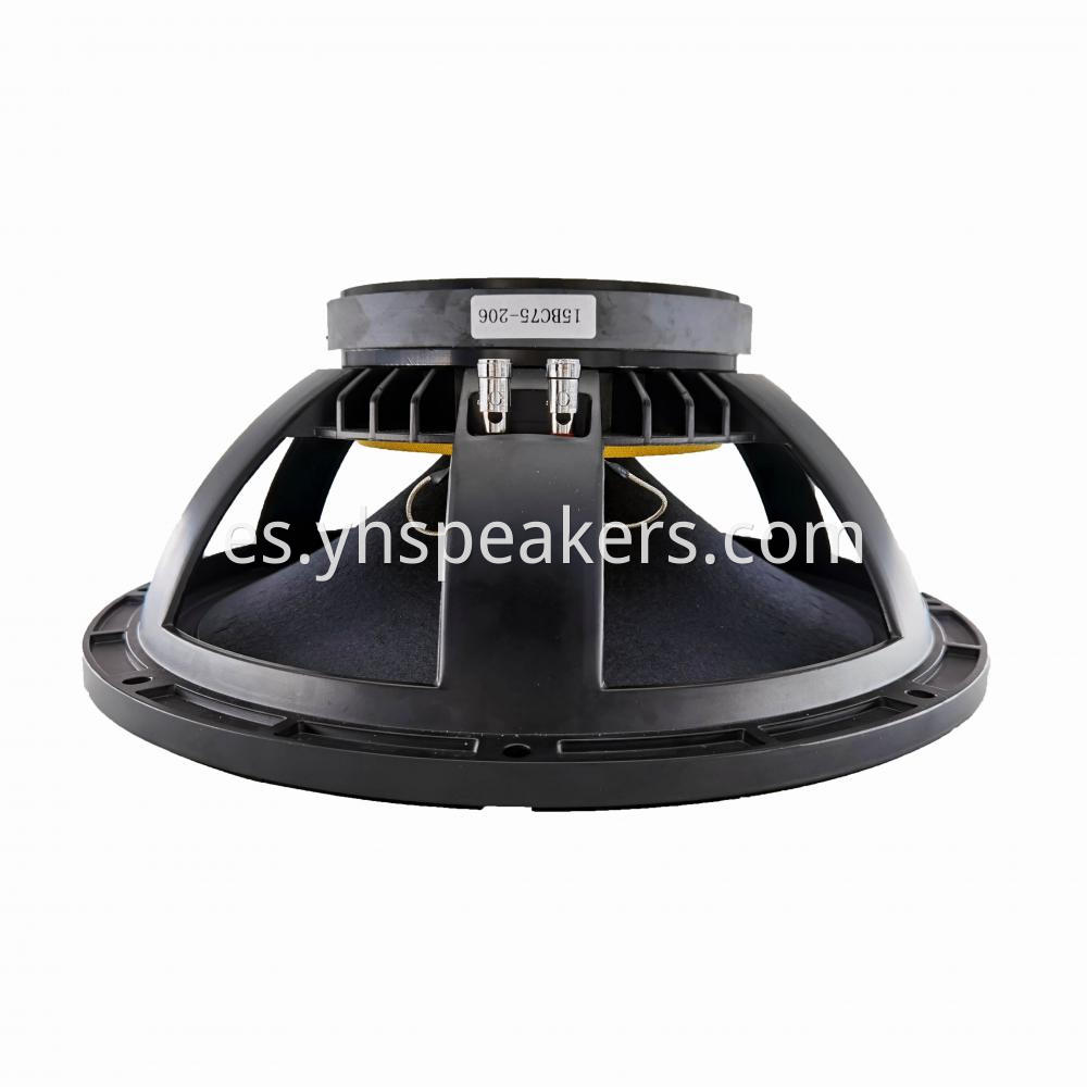 15 Inch Professional Speaker for Outdoor Performance